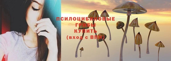 таблы Алзамай