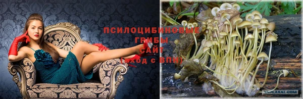тгк Алексеевка