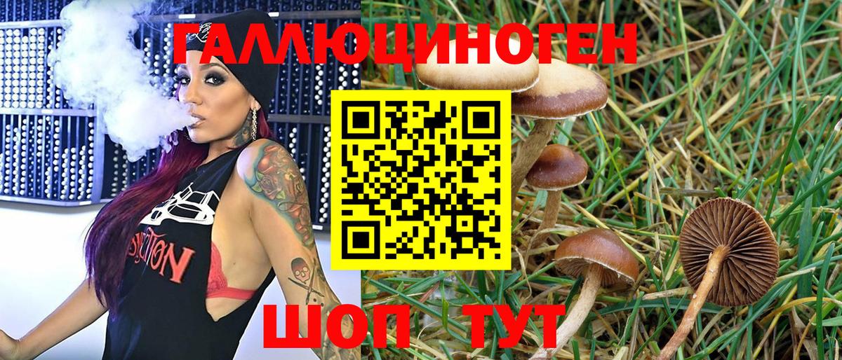 Псилоцибиновые грибы прущие грибы  Галлюциногенные грибы Psilocybe  Слободской  Вход с VPN 